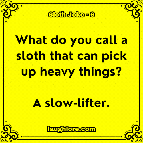 Sloth Joke 6