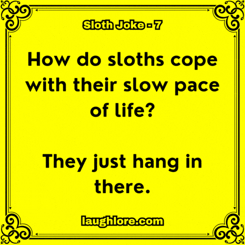 Sloth Joke 7