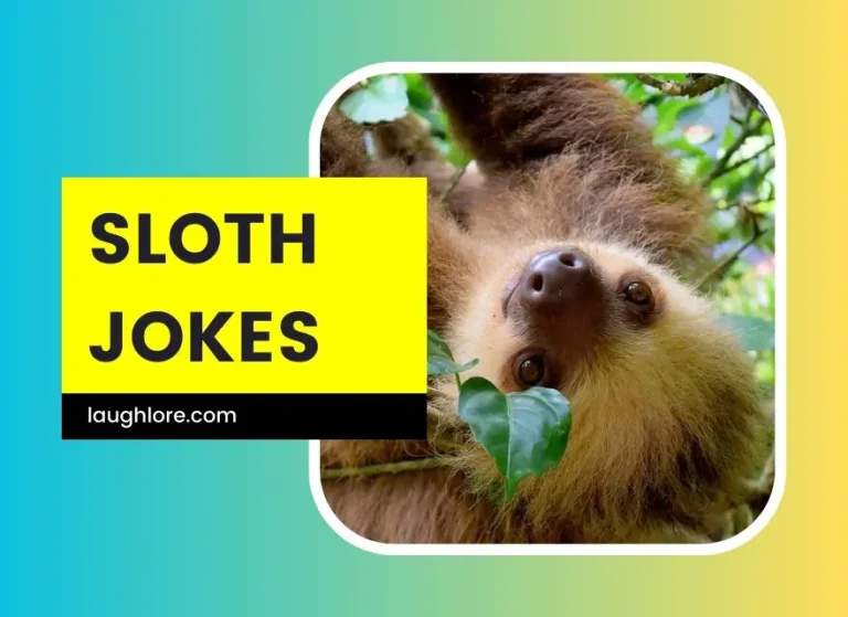 150 Sloth Jokes