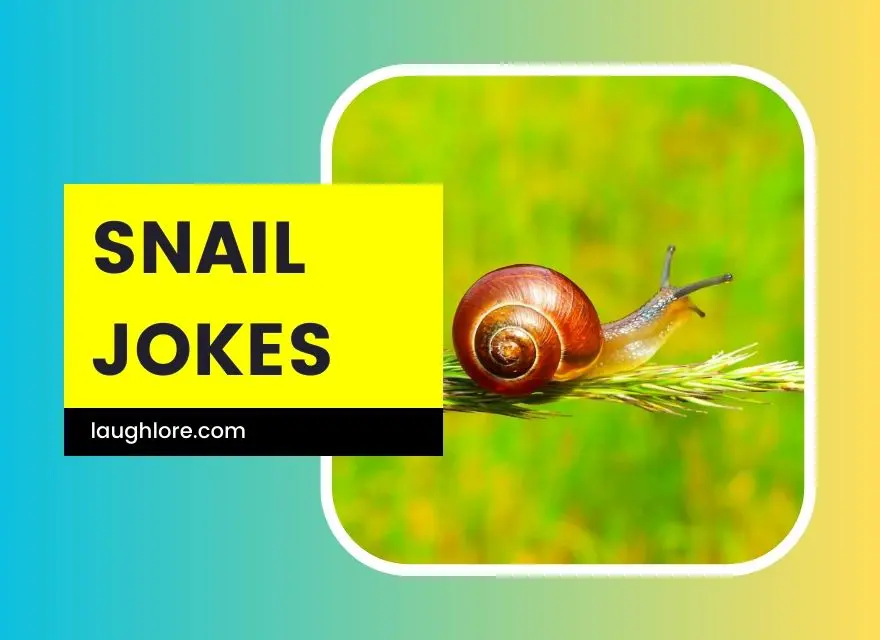 Snail Jokes