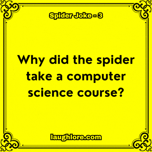 Spider Joke 3