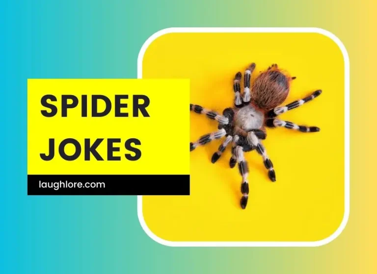 125 Spider Jokes