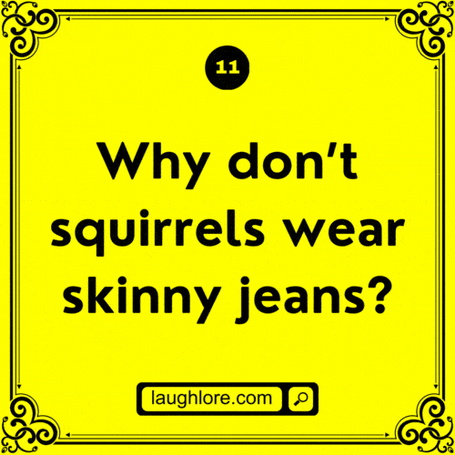 Squirrel Joke 11