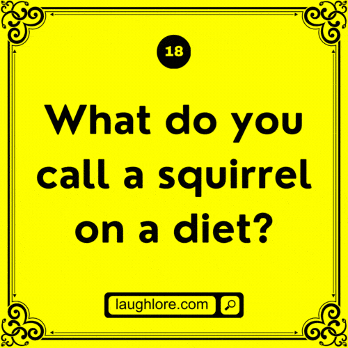 Squirrel Joke 18