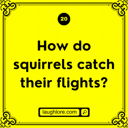 Squirrel Joke 20