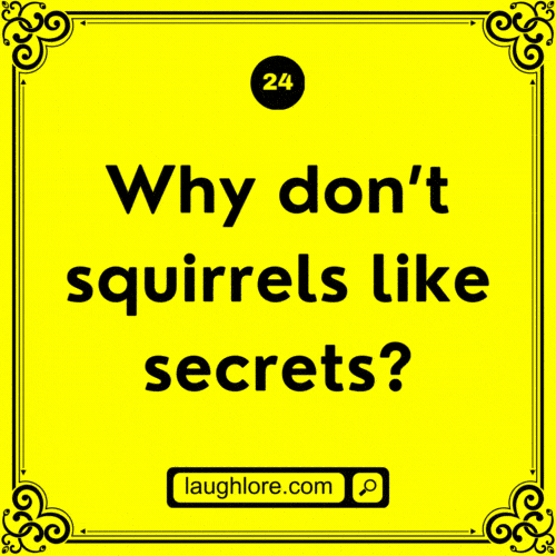 Squirrel Joke 24