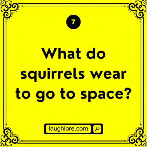 Squirrel Joke 7