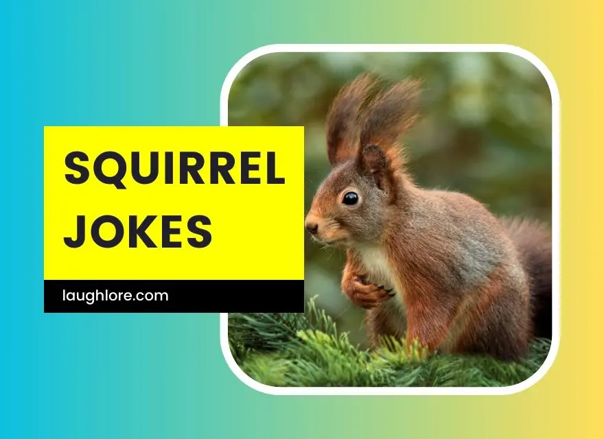 Squirrel Jokes