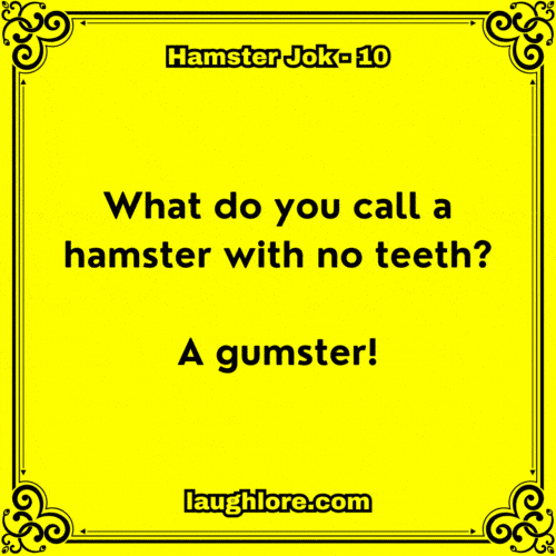 Hamster Joke 10