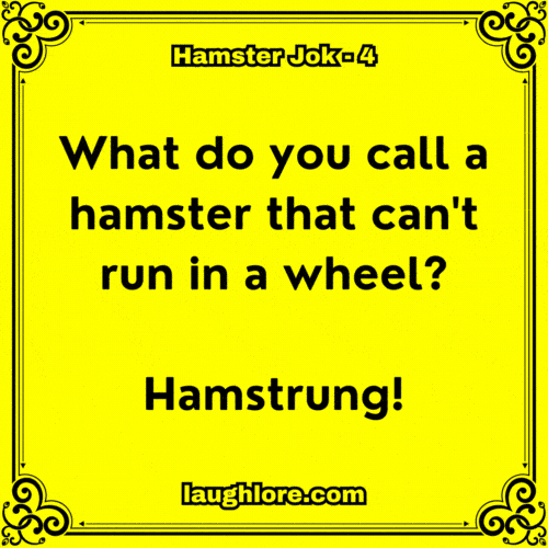 Hamster Joke 4