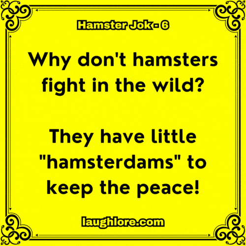 Hamster Joke 6
