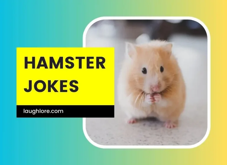 150 Hamster Jokes