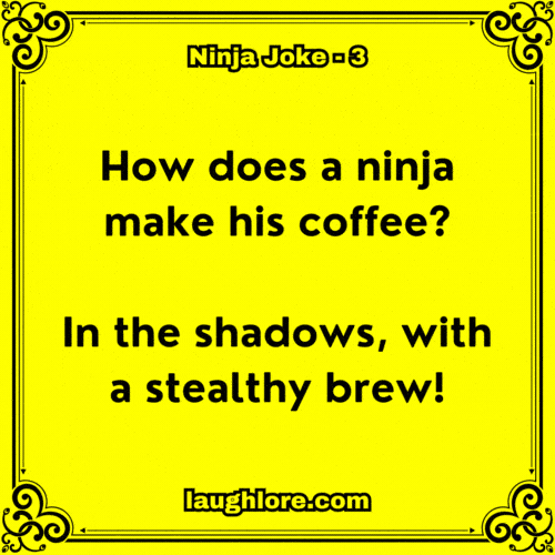 Ninja Joke 3