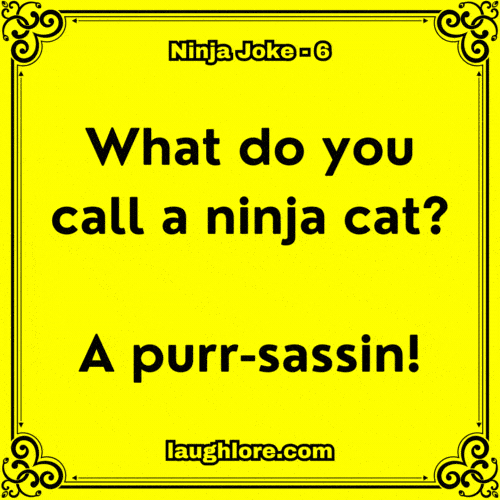 Ninja Joke 6