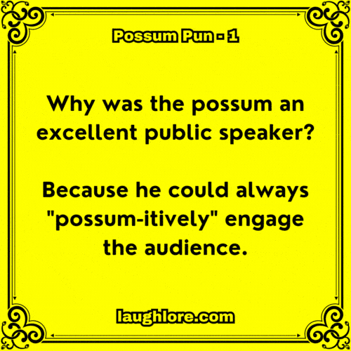Possum Pun 1