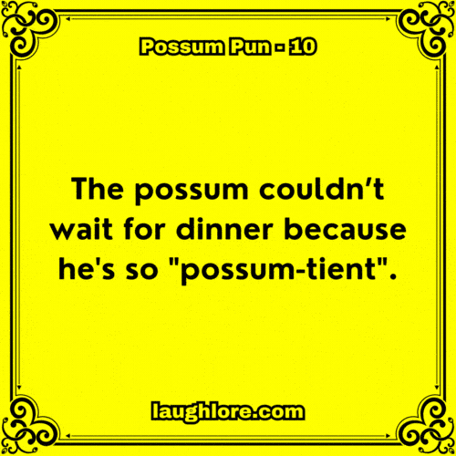 Possum Pun 10