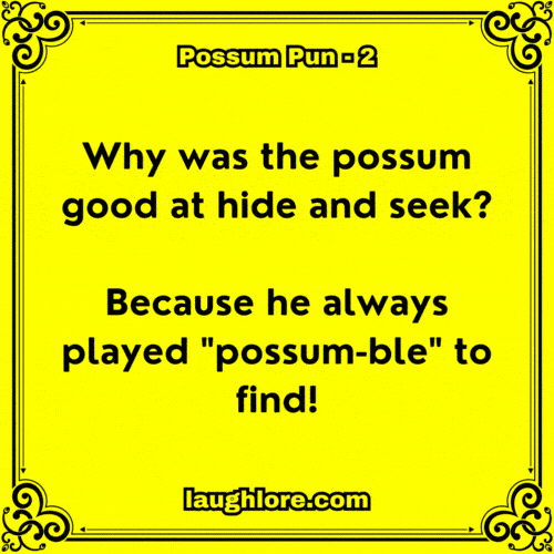 Possum Pun 2