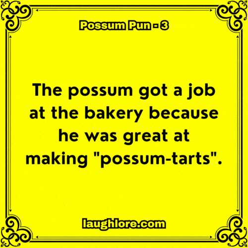 Possum Pun 3