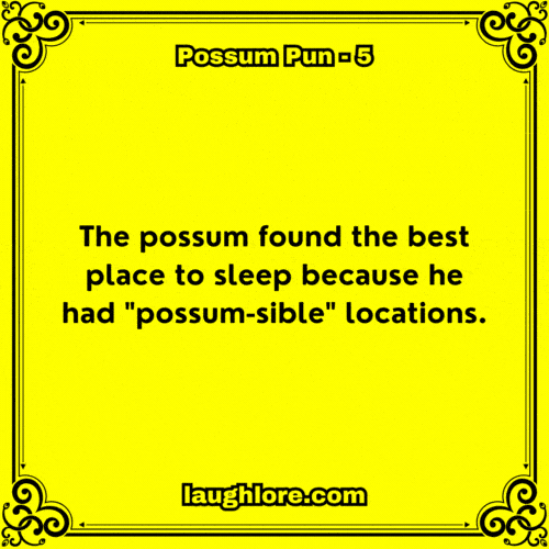 Possum Pun 5
