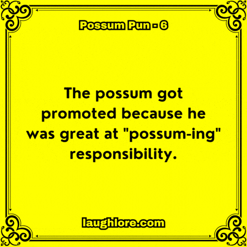 Possum Pun 6